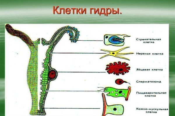 Кракен даркнет вход